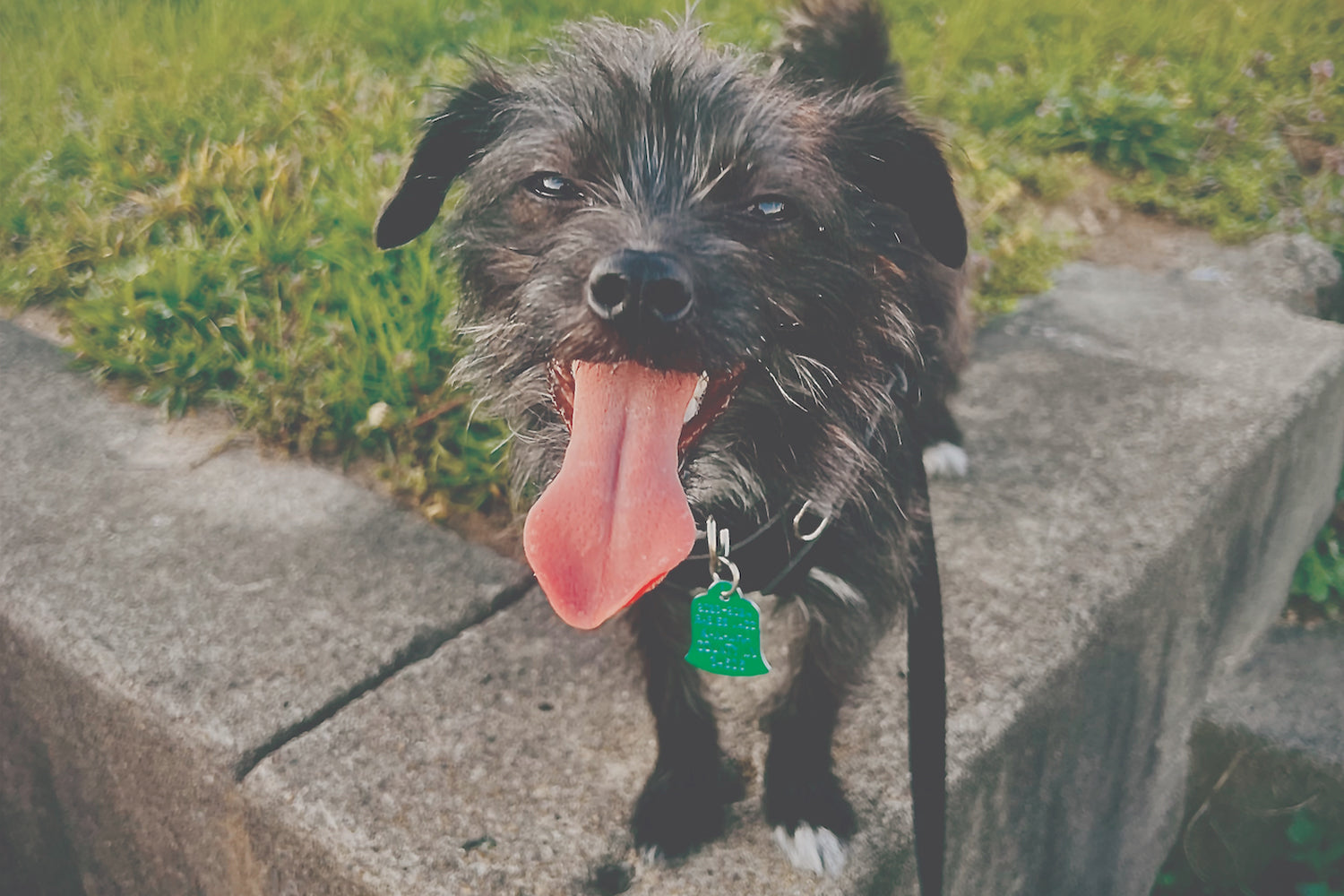 STINKER OF THE MONTH / NOVEMBER 2025 : BELLA VONN