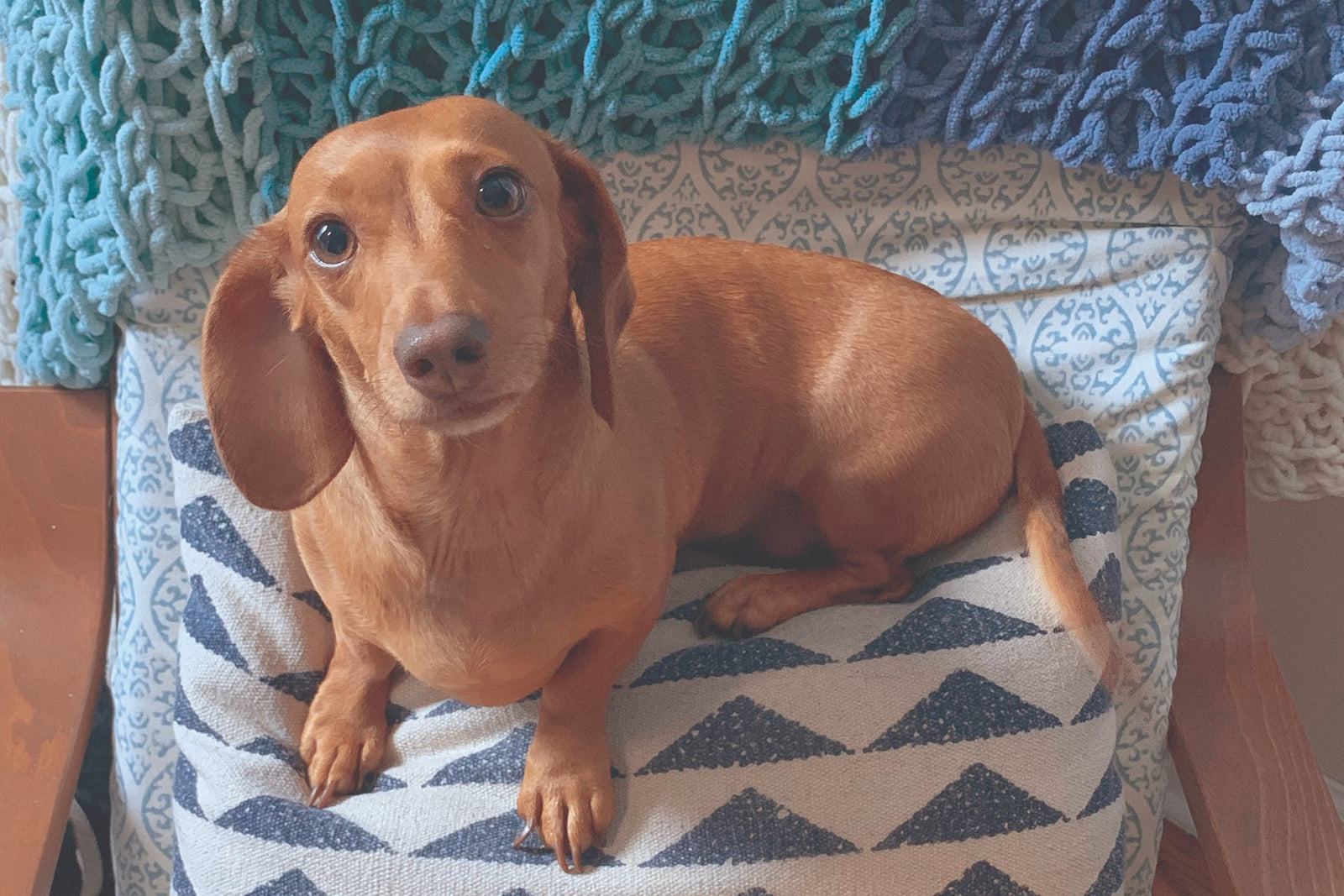 STINKER OF THE MONTH / MAY 2025 : EVIE