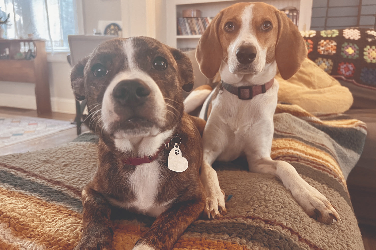 Stinkers of the Month / AUGUST 2024 : " MAEVE & RUBY "