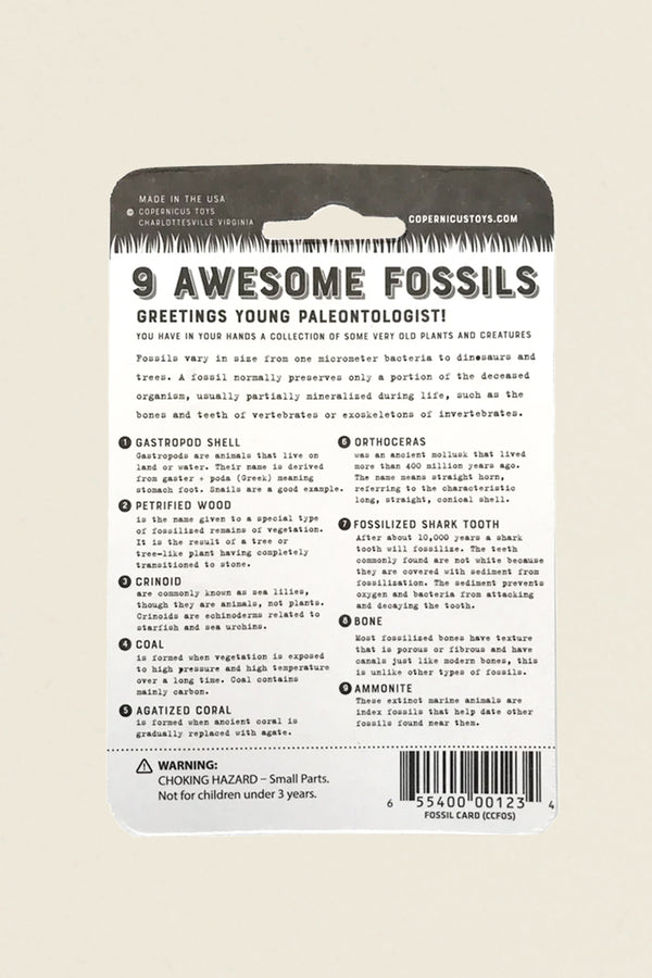 Awesome Fossils Collection - Kin Ship Goods