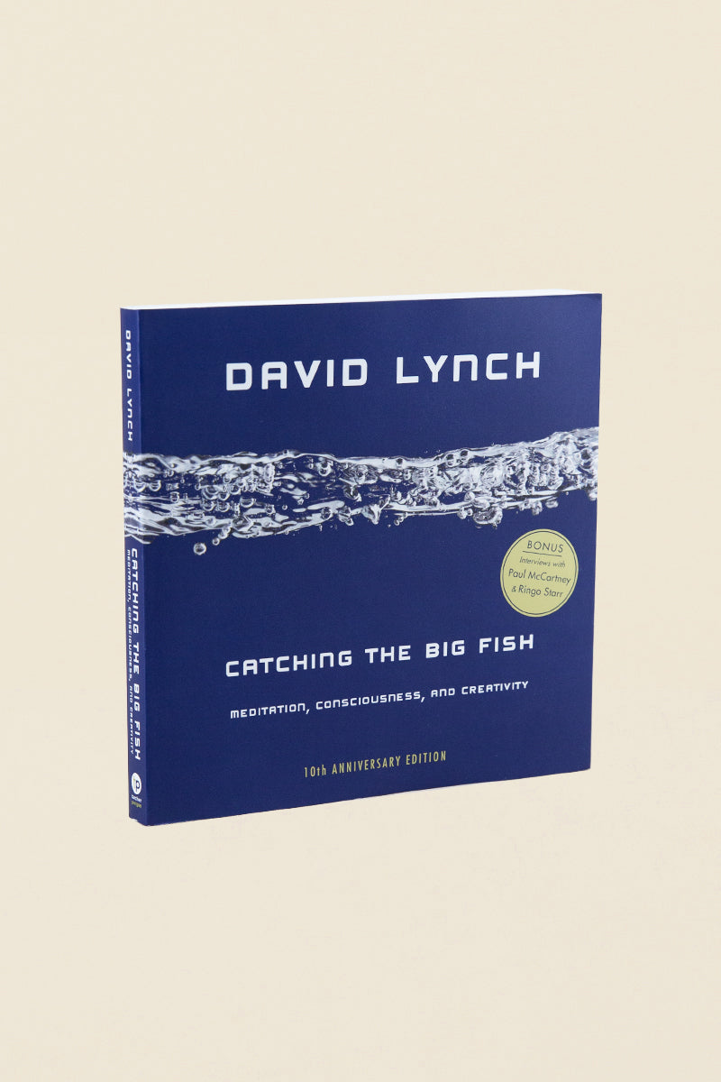 Catching the Big Fish: Meditation, Consciousness & Creativity