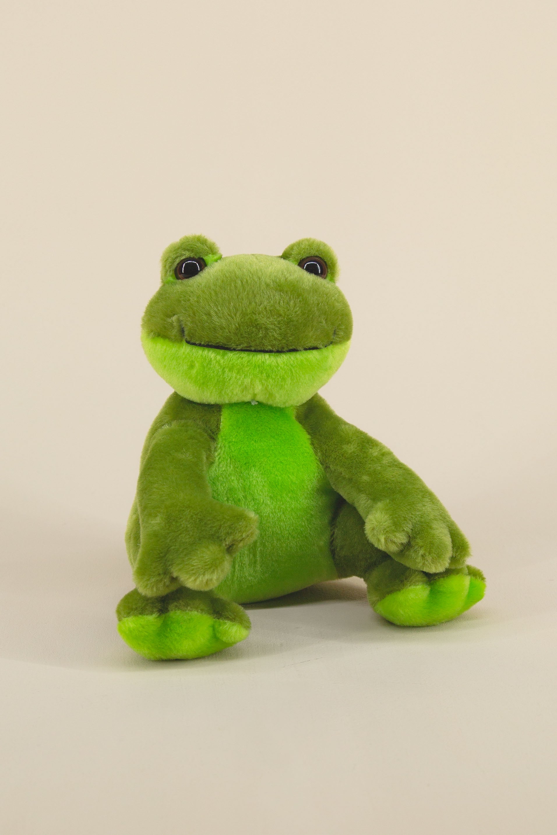 Floppy Friends Frog Stuffed Animal by First and Main at Stuffed