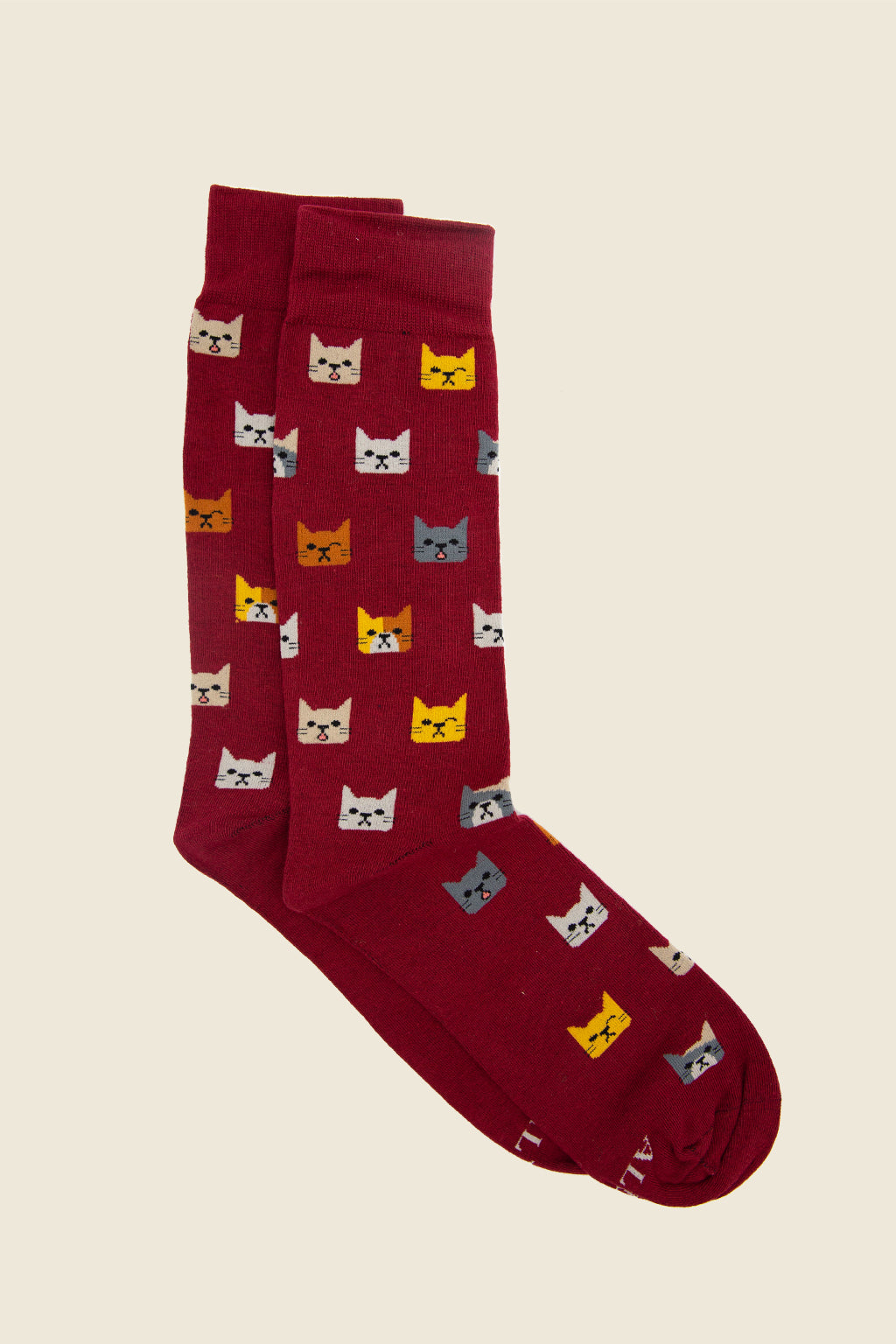 Kitty Cat Socks