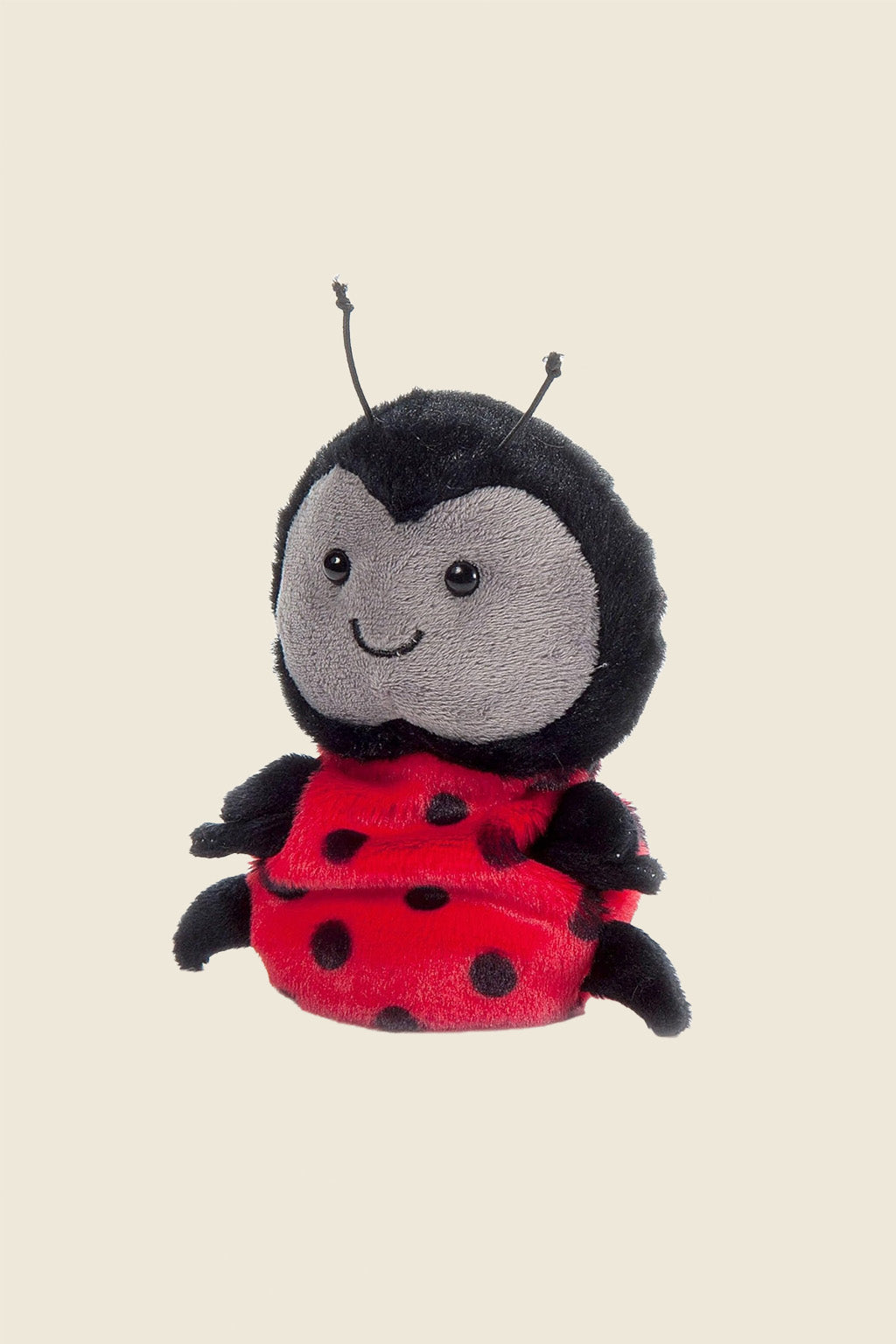 Lady Bug Buddy