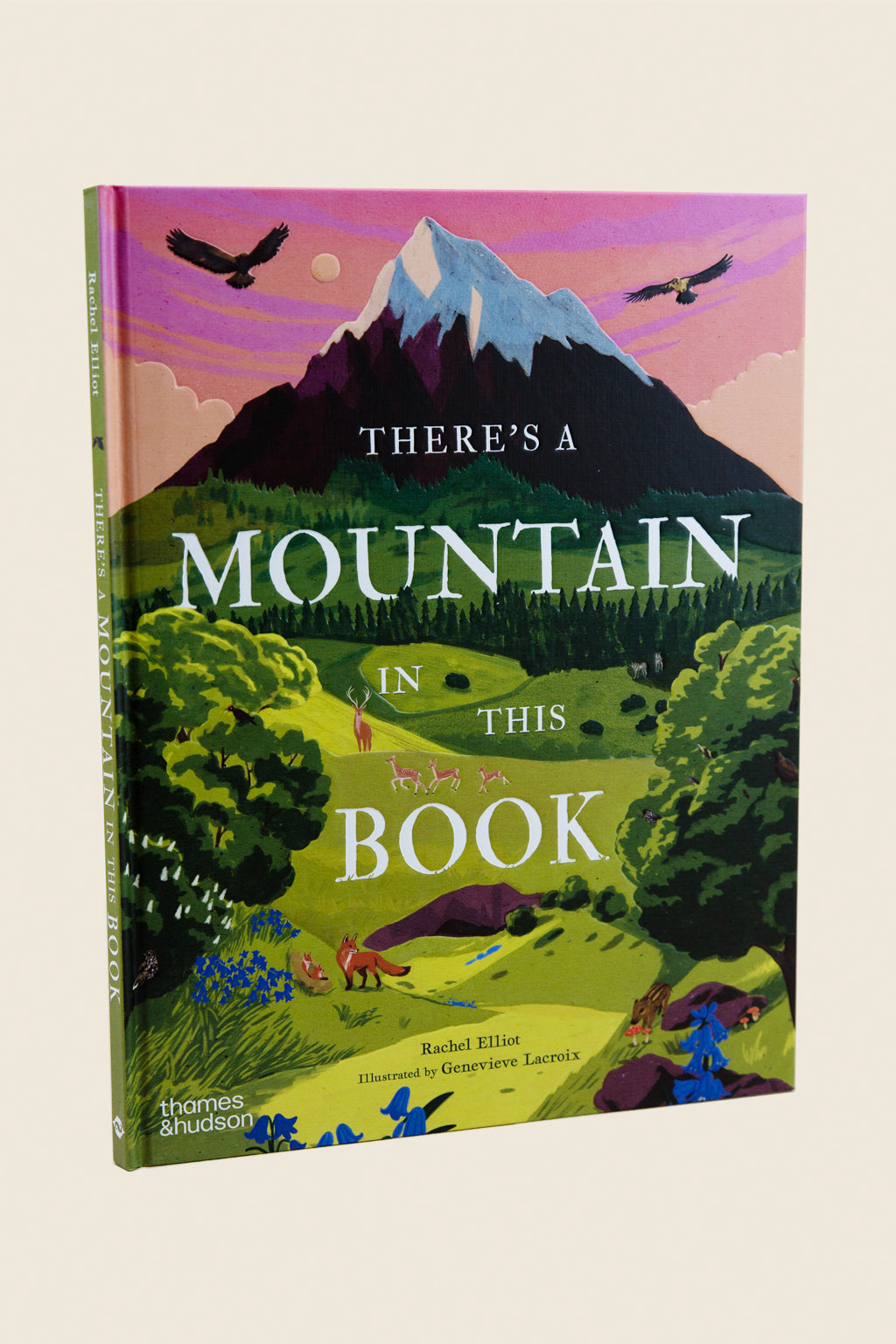 There's a Mountain in This Book