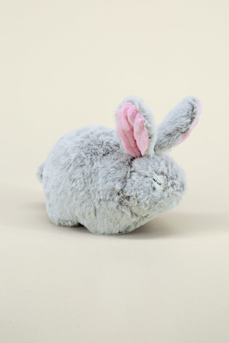 bunny dog toy